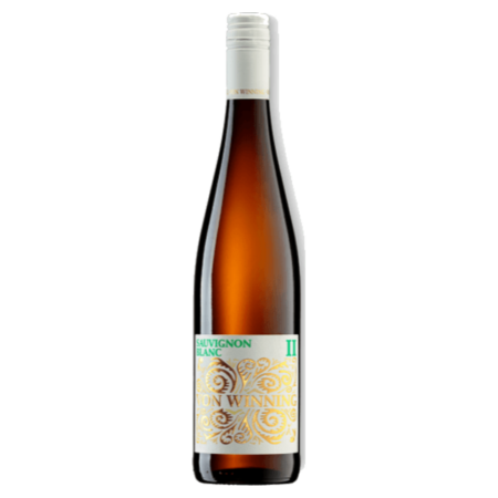 Sauvignon Blanc II - von Winning - Pfalz