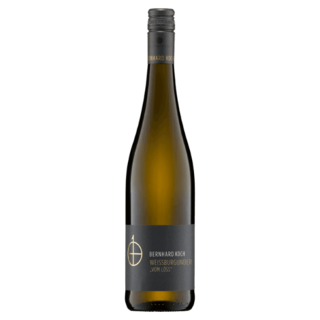 Weissburgunder, vom Loess - Bernhard Koch - Pfalz